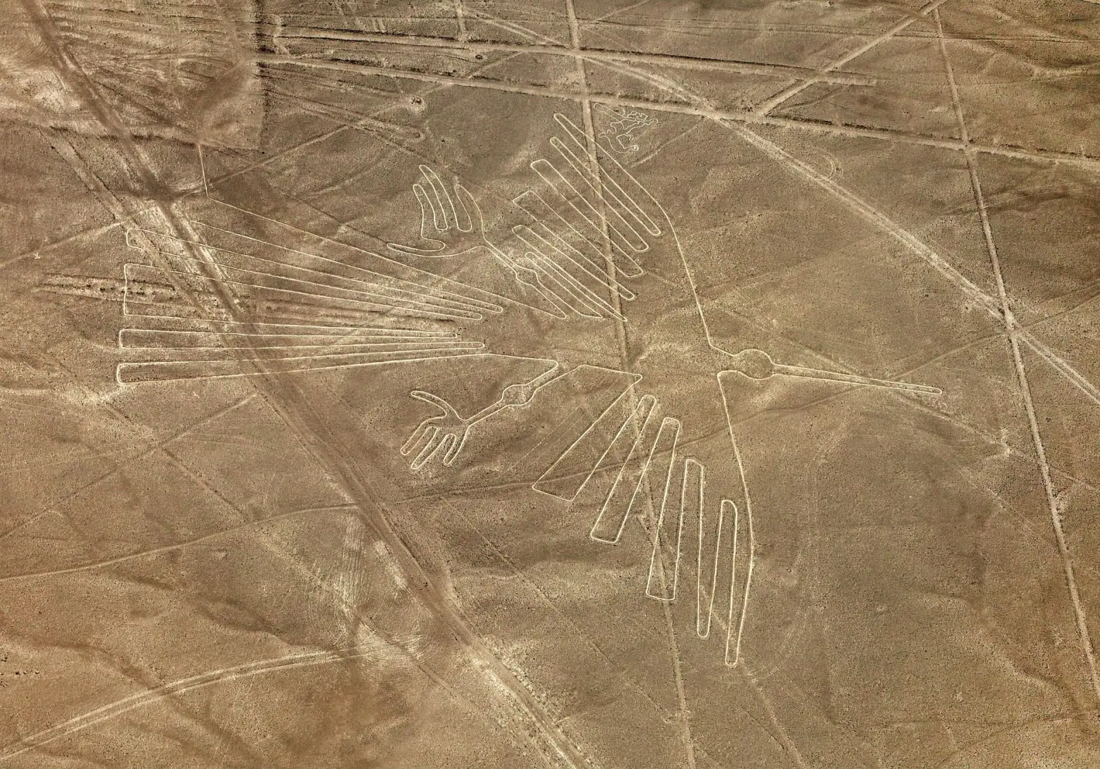 Geoglifo do Condor nas Linhas de Nazca